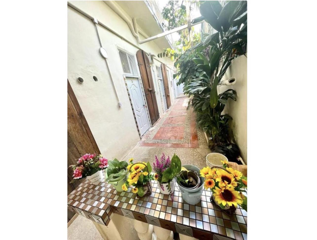 Hostel El Espanol Santo Domingo Bagian luar foto