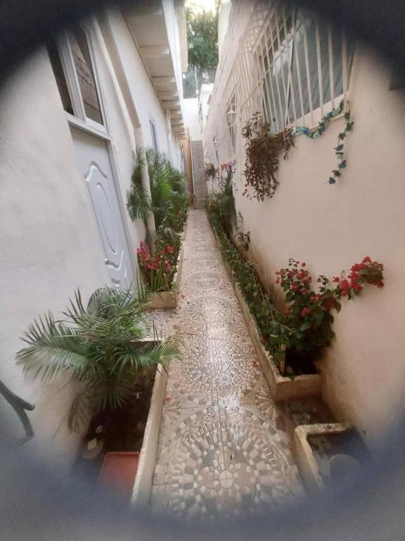 Hostel El Espanol Santo Domingo Bagian luar foto